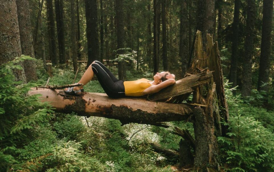 Mindfulness odmor bez distrakcija